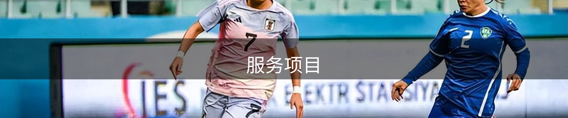 服务项目